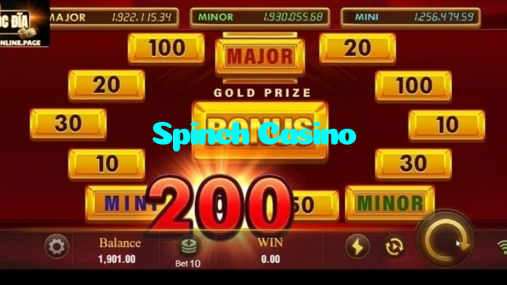 available types of Spinch Casino bet including pre-match live express and system bets
